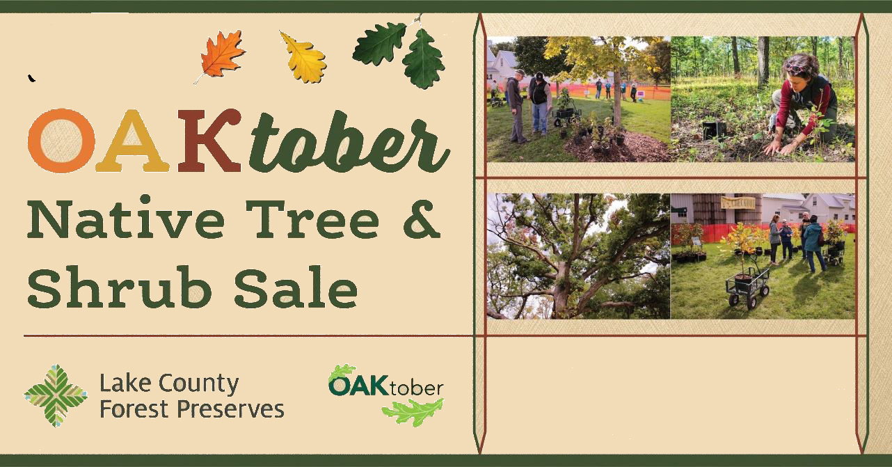 OAKtober Native Plant and Shrub Sale at Ryerson Woods